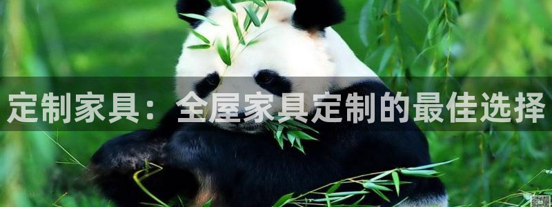 bb电子教育平台