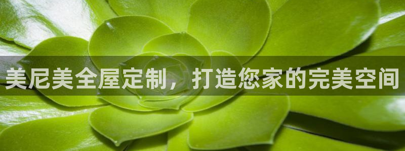 BB电子怪物派对