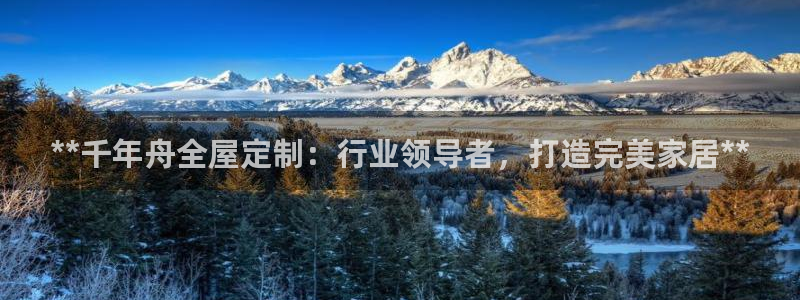 网上bb电子为什么那么假