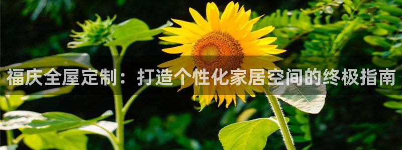 bb电子哪个平台好点