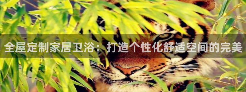 BB电子骗局