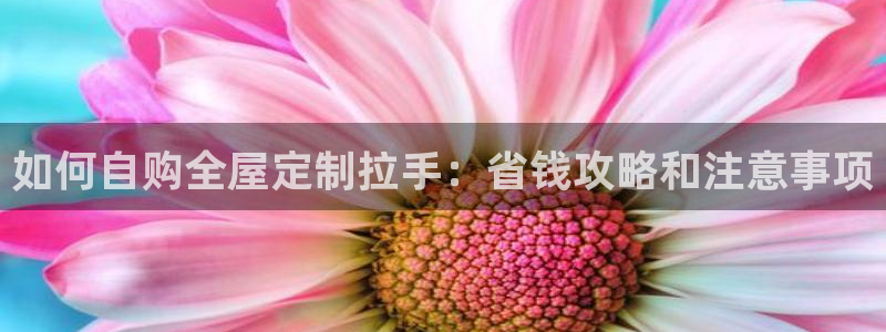 bb电子怎么英语怎么说