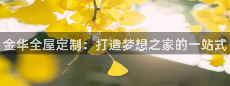 bb电子怎么英语怎么说