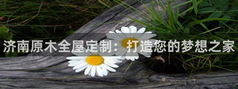 bb电子哪个平台好用一点